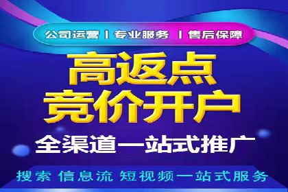行业领先企业如何通过SEM运营提升ROI